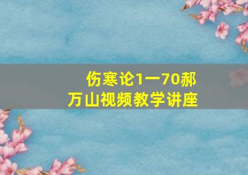 伤寒论1一70郝万山视频教学讲座