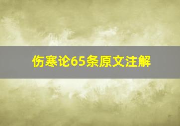 伤寒论65条原文注解