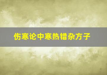 伤寒论中寒热错杂方子