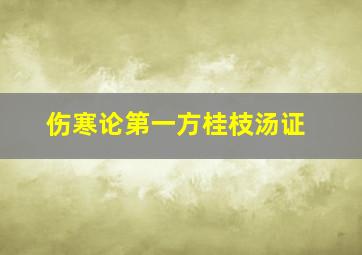 伤寒论第一方桂枝汤证