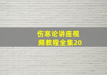 伤寒论讲座视频教程全集20