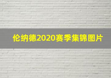 伦纳德2020赛季集锦图片