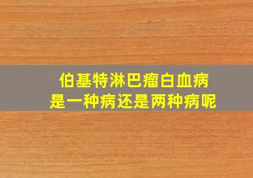 伯基特淋巴瘤白血病是一种病还是两种病呢