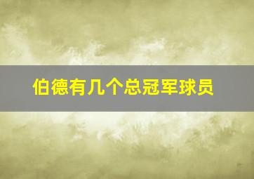 伯德有几个总冠军球员