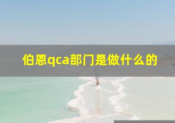 伯恩qca部门是做什么的