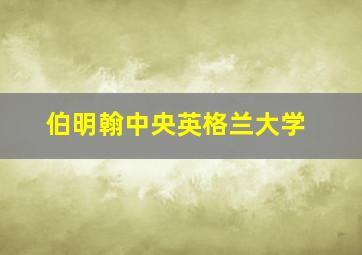 伯明翰中央英格兰大学