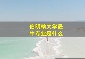 伯明翰大学最牛专业是什么