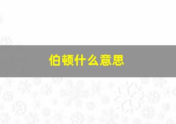 伯顿什么意思