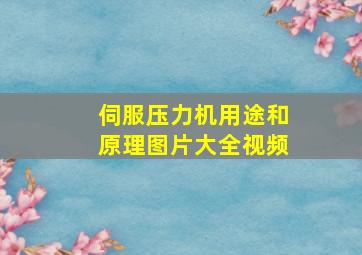 伺服压力机用途和原理图片大全视频