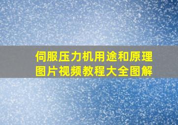 伺服压力机用途和原理图片视频教程大全图解