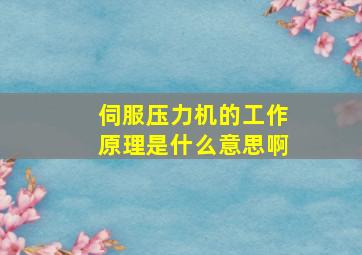 伺服压力机的工作原理是什么意思啊