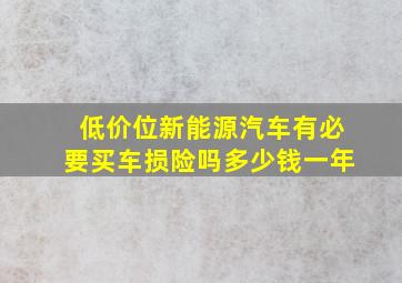 低价位新能源汽车有必要买车损险吗多少钱一年