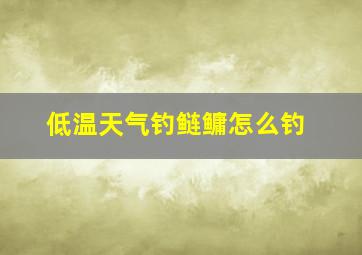 低温天气钓鲢鳙怎么钓