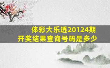 体彩大乐透20124期开奖结果查询号码是多少