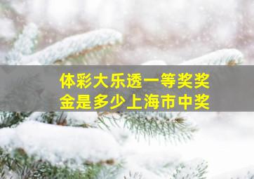 体彩大乐透一等奖奖金是多少上海市中奖