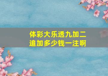 体彩大乐透九加二追加多少钱一注啊