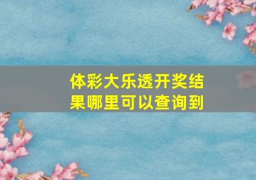 体彩大乐透开奖结果哪里可以查询到