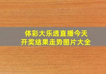 体彩大乐透直播今天开奖结果走势图片大全