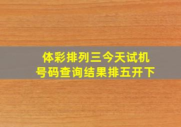 体彩排列三今天试机号码查询结果排五开下