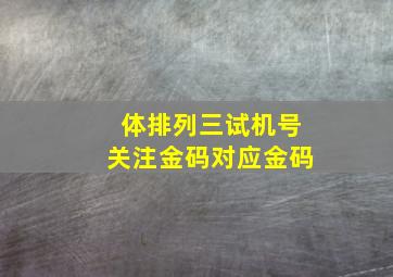 体排列三试机号关注金码对应金码