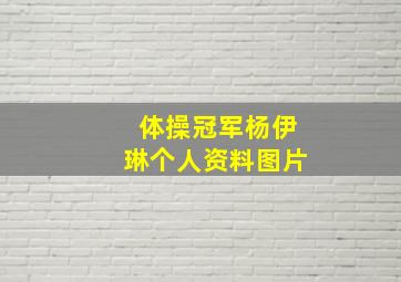 体操冠军杨伊琳个人资料图片