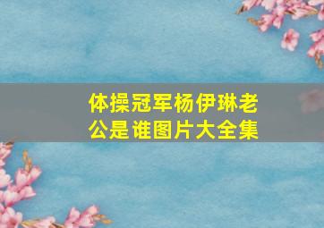 体操冠军杨伊琳老公是谁图片大全集