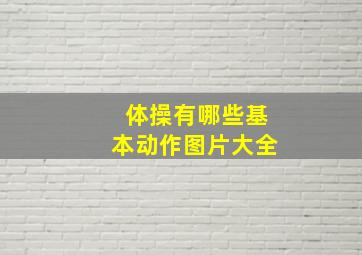 体操有哪些基本动作图片大全