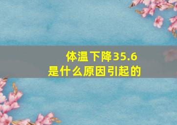 体温下降35.6是什么原因引起的