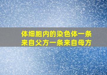 体细胞内的染色体一条来自父方一条来自母方