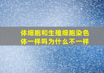 体细胞和生殖细胞染色体一样吗为什么不一样