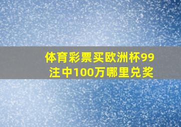 体育彩票买欧洲杯99注中100万哪里兑奖