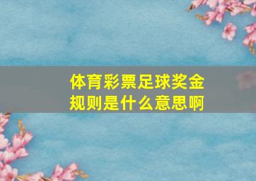 体育彩票足球奖金规则是什么意思啊