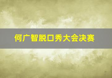 何广智脱口秀大会决赛