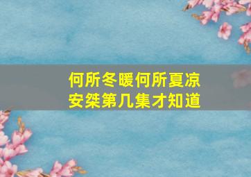 何所冬暖何所夏凉安桀第几集才知道