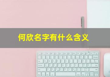 何欣名字有什么含义