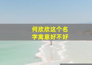 何欣欣这个名字寓意好不好