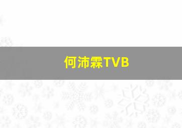 何沛霖TVB