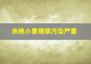 余姚小曹娥镇污染严重