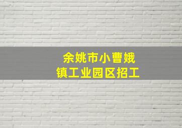 余姚市小曹娥镇工业园区招工