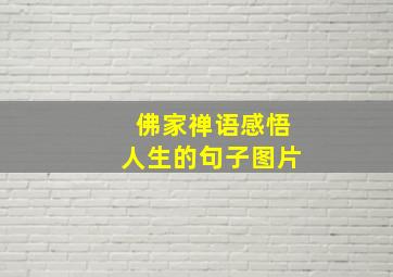 佛家禅语感悟人生的句子图片