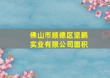 佛山市顺德区坚鹏实业有限公司面积