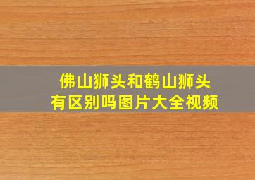 佛山狮头和鹤山狮头有区别吗图片大全视频