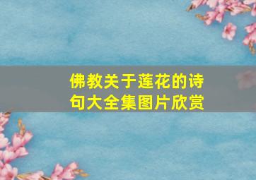 佛教关于莲花的诗句大全集图片欣赏