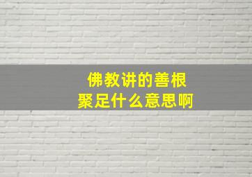 佛教讲的善根聚足什么意思啊