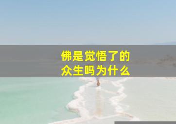 佛是觉悟了的众生吗为什么