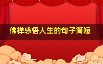 佛禅感悟人生的句子简短