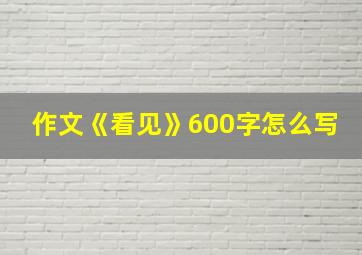 作文《看见》600字怎么写