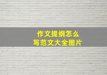 作文提纲怎么写范文大全图片