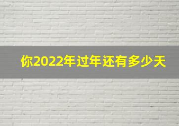 你2022年过年还有多少天