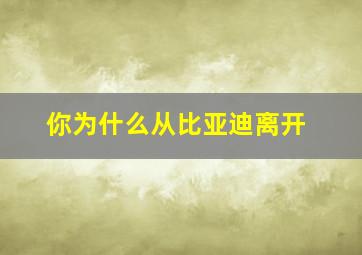 你为什么从比亚迪离开